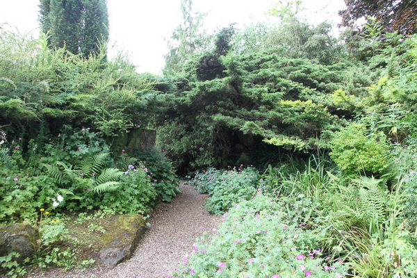 Overgrown Rock Garden at Burnby Gardens