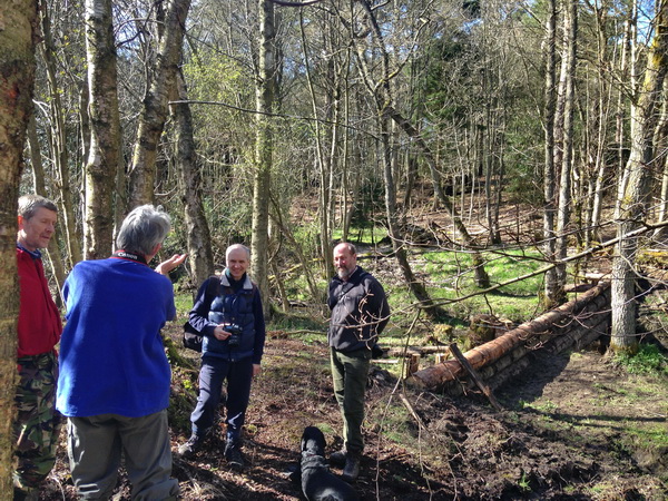 2B exploring the NFM interventions, including 'woody leaky dams' at Pickering