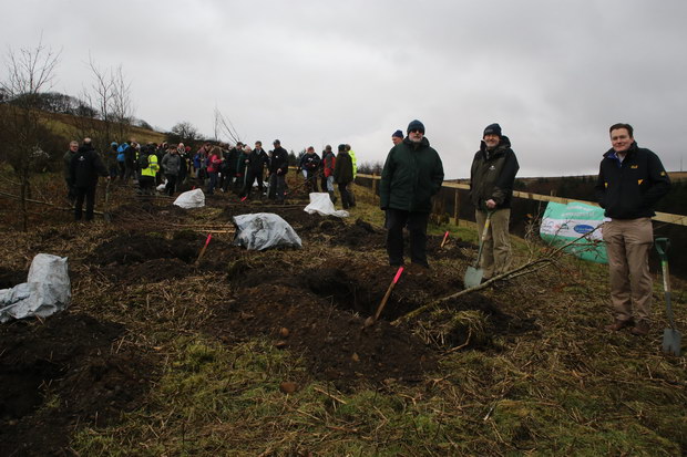 Northern Forest - before planting