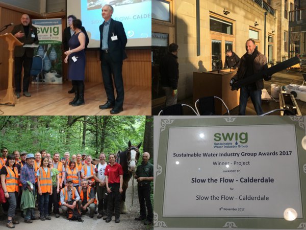 STFC wins the 2017 SWIG Award for Best Project