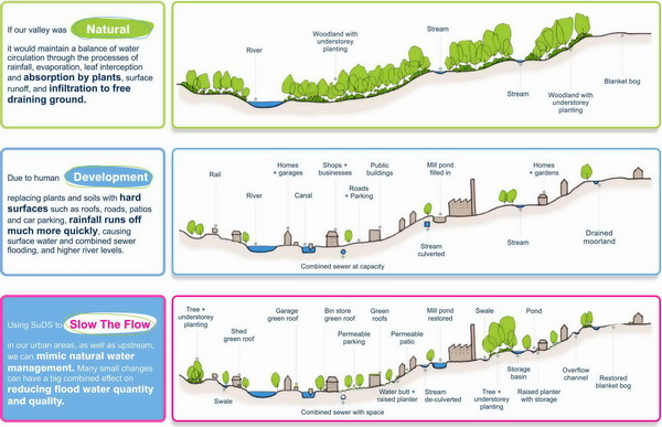 Diagram explaining NFM principles