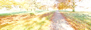 North Cave Seasonal Panoramas