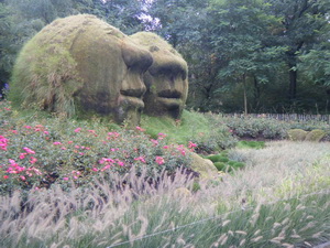 Floriade moss heads