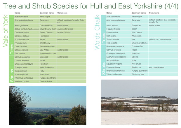 HEYwoods Tree and Shrub species - page 4