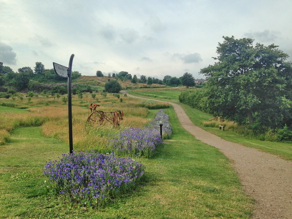 Pictorial Meadow in Sheffield