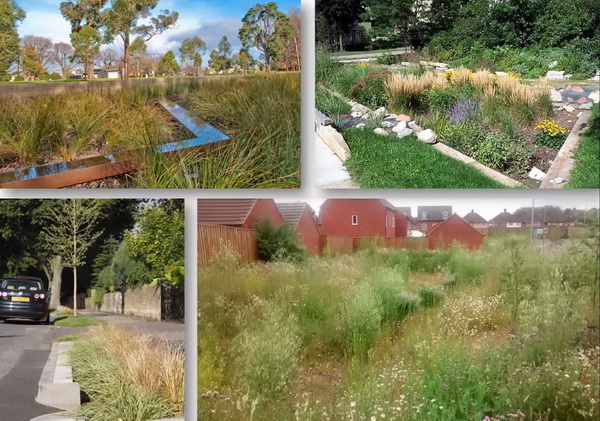 Rain Gardens...NO they DON'T generate litter!