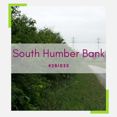 South Humber Bank tree planting