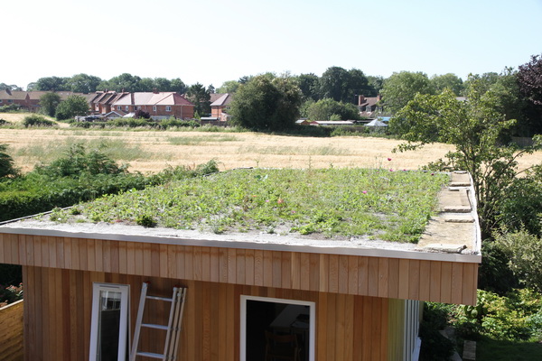 Green roof 2014