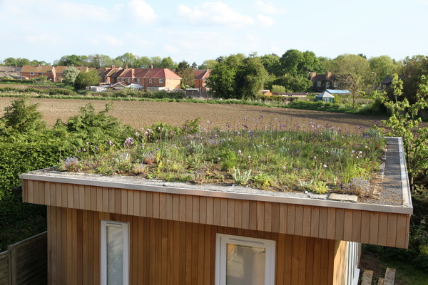 Green roof 2015-05