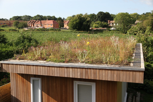 Green roof 2015-07