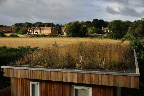 Green roof 2016-08