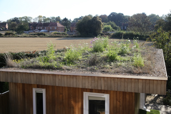 Green roof 2018-10