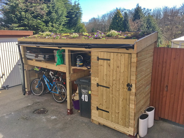 Amanda's Shed Green Roof