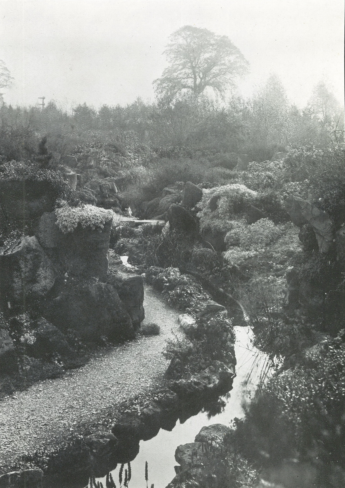 Burnby Rock Garden: somewhere between 1920 and 1920