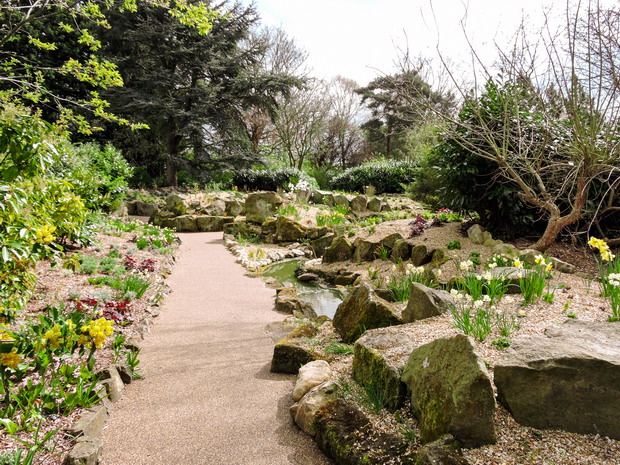 Rockery in the spring