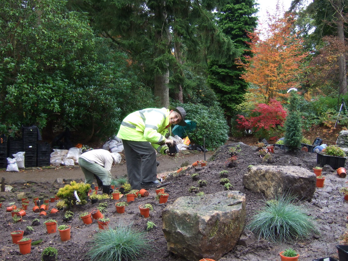 Helping at the replanting of Whinfell Quarry, another Backhouse design of the era