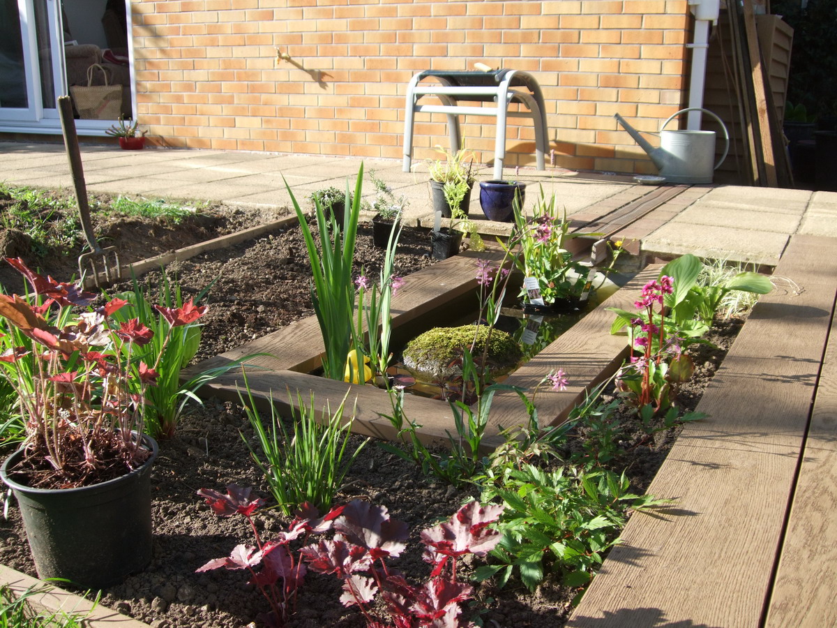 Starting to plant around the pond