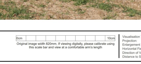 Close up image of a ruler drawn onto a plan which can be used to scale an image on screen