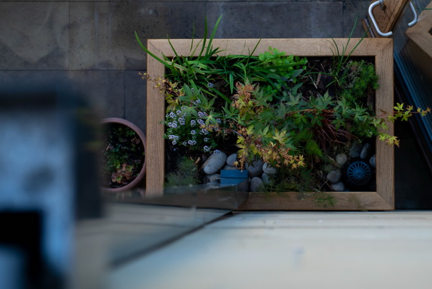 Rain garden planter seen from balcony credit Matt Radcliffe Photography