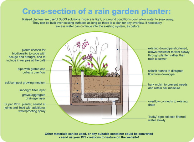 Rain garden planter diagrammatic section