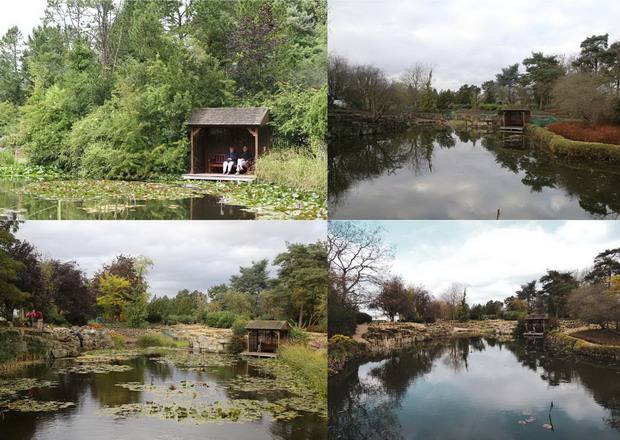 Before, during clearance, during plantign and first season after planting