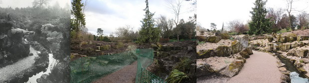 The rockery historic, during clearance and first season after planting.