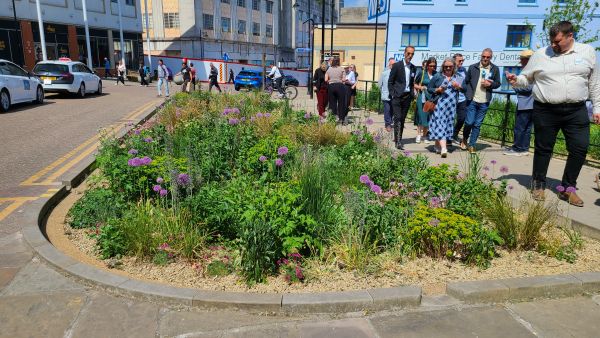 Image of a rain garden aside a city centre road