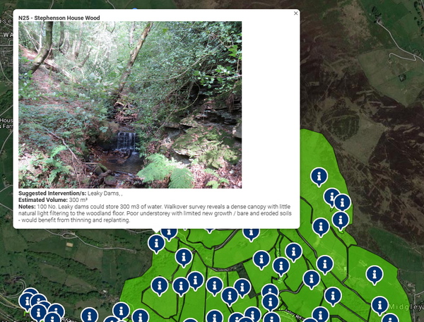 Slow the Flow Opportunities Mapping - rural example