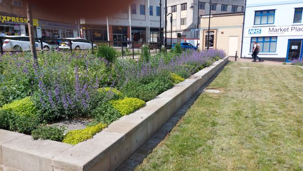 Image of a rain garden in a parklet