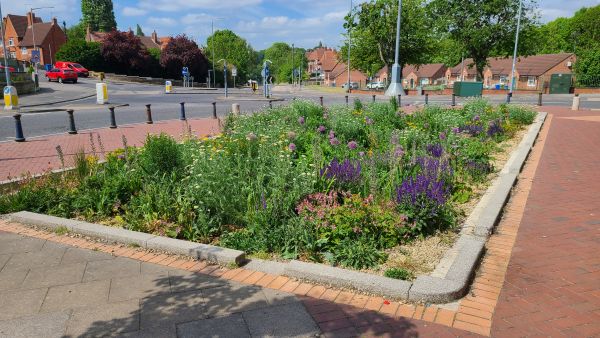 A rain garden set into a wide pavement outside a row if shops
