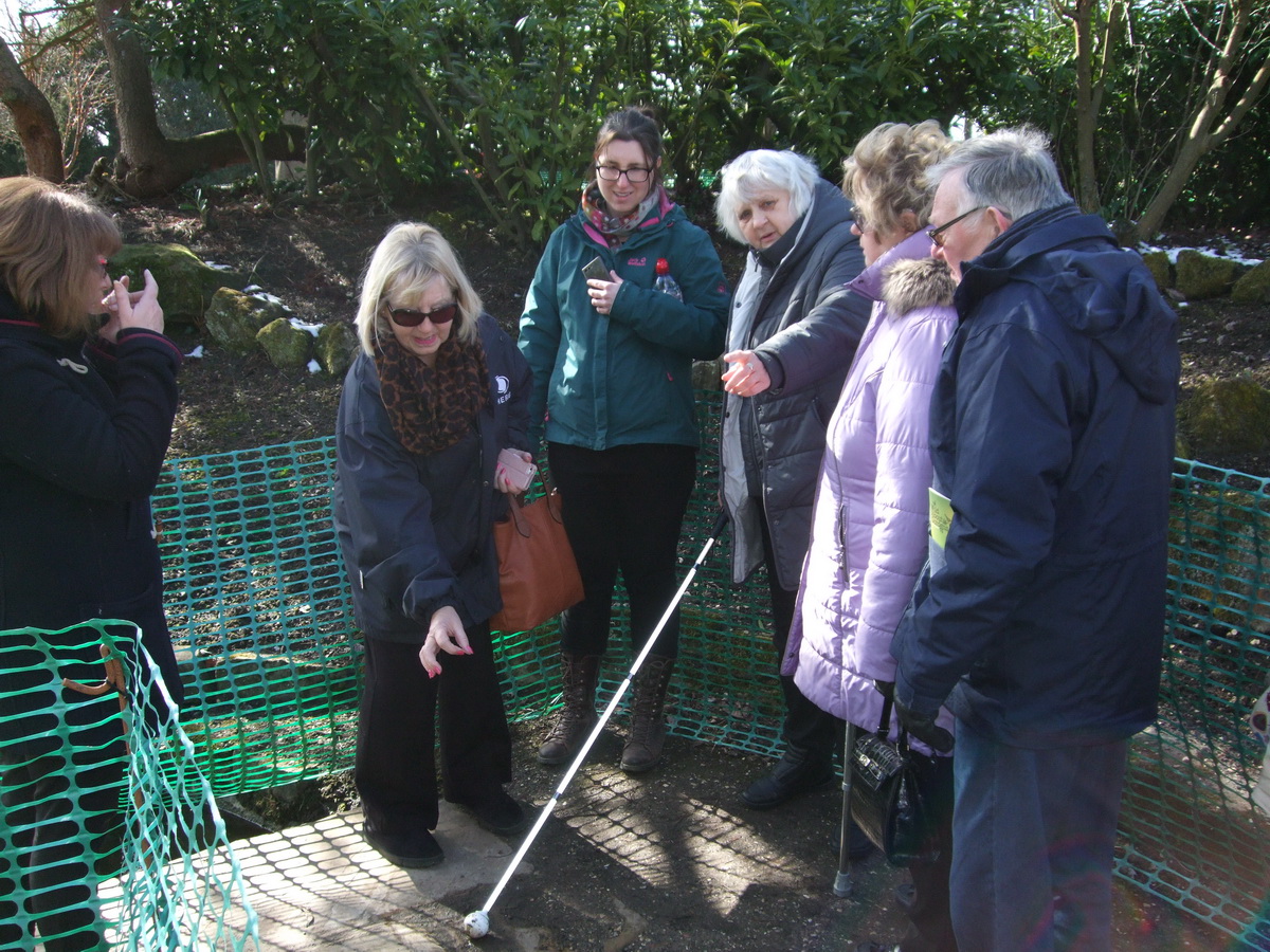 Members of Sight Support discussing access issues