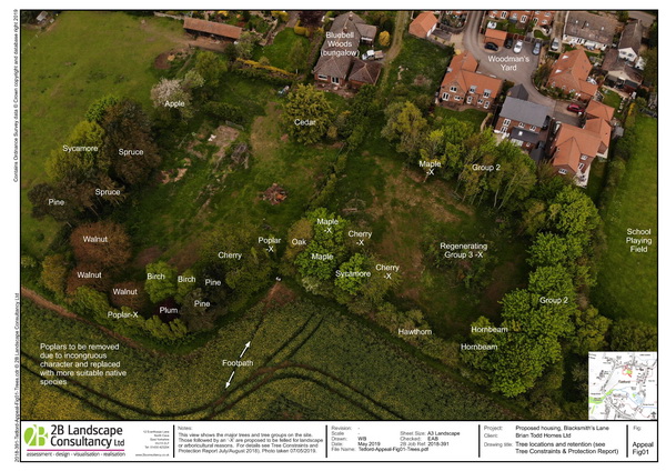 Drone photograph shows tree retention and loss