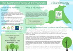 Northern Forest 'Humber Forest' Strategy