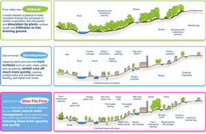 Amanda-Slow The Flow Diagram